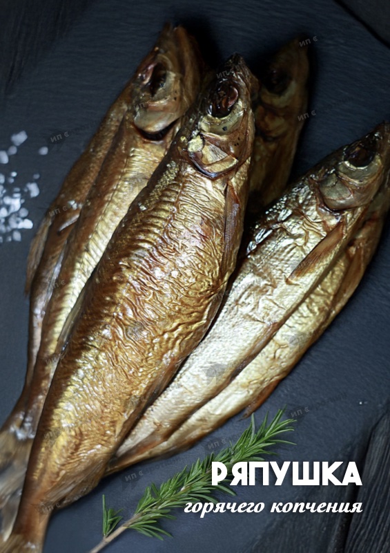 Ряпушка