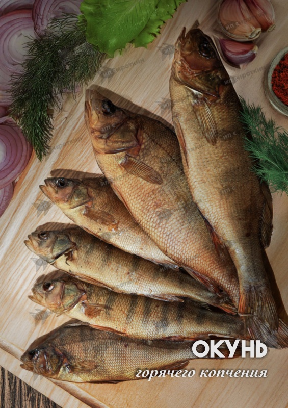Окунь (потр.)