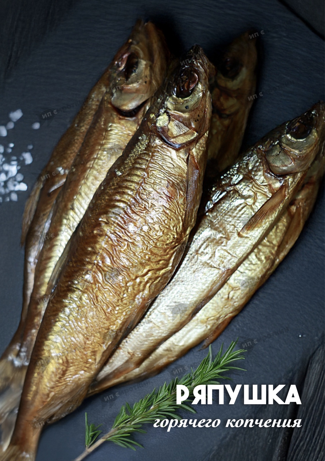 Ряпушка